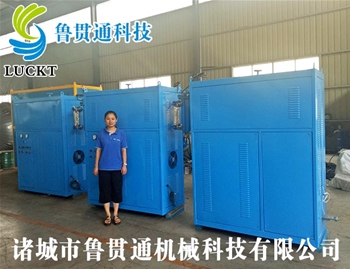 0.5噸電磁加熱蒸汽鍋爐 有各種大型、中型、小型，具體可來(lái)電咨詢，可根據(jù)客戶要求選型。