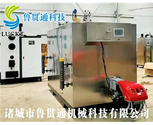 1噸燃?xì)猓ㄓ停┱羝l(fā)生器 現(xiàn)貨供應(yīng)，工廠直銷，規(guī)格型號眾多，可來電咨詢