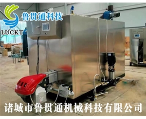 1噸燃?xì)猓ㄓ停┱羝l(fā)生器 現(xiàn)貨供應(yīng)，工廠直銷，規(guī)格型號眾多，可來電咨詢